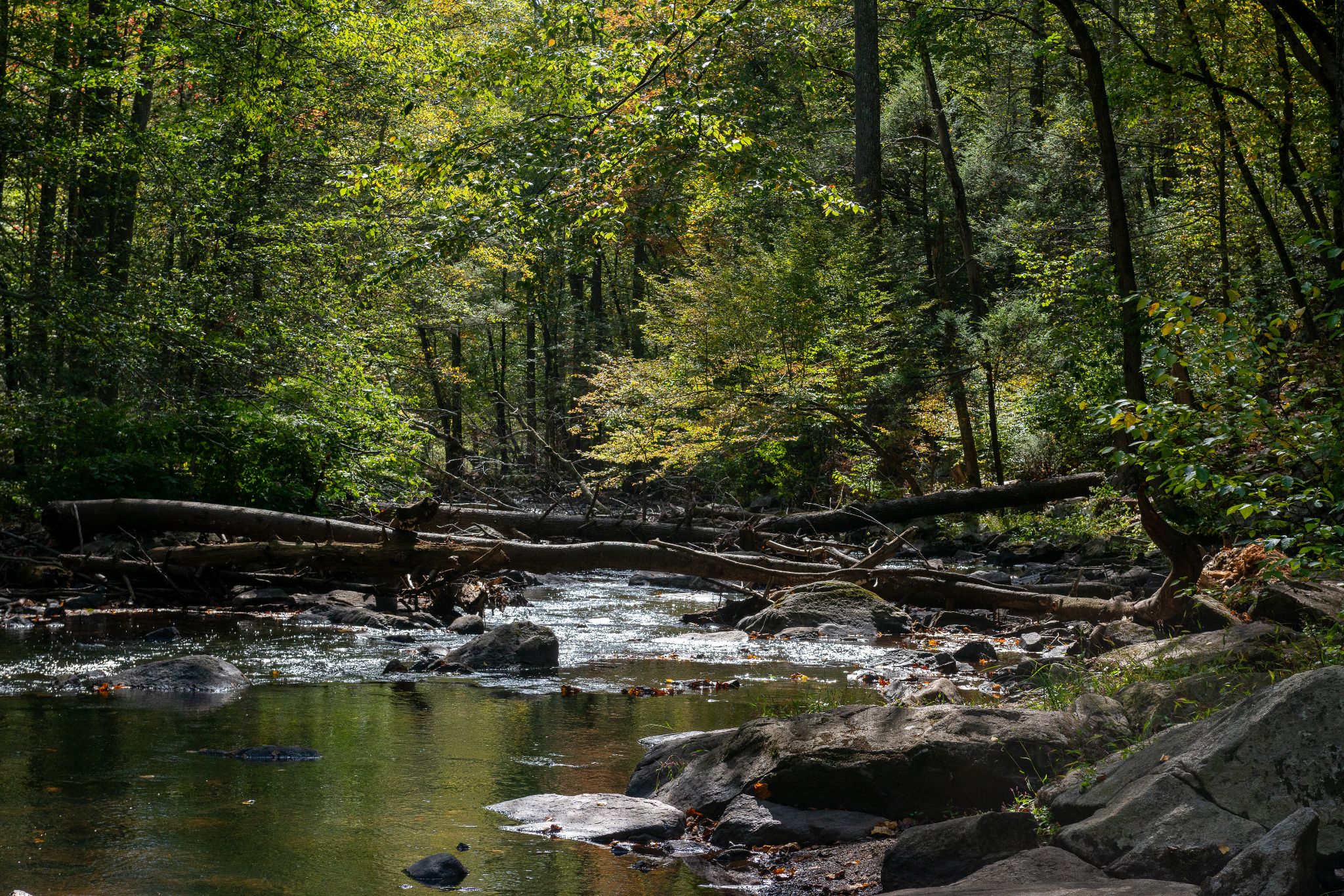 Kreuzfahrt USA 2025 336